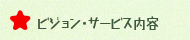 ビジョン・サービス内容